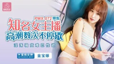 PMX072